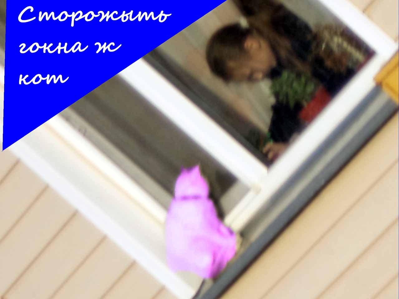 КадаФи нам дал шакаЛад