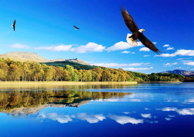 Жизнь моя, как бурная река!