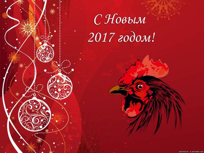 Залетел к нам петушок. Новогоднее