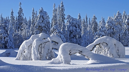 Как танец белых лебедей