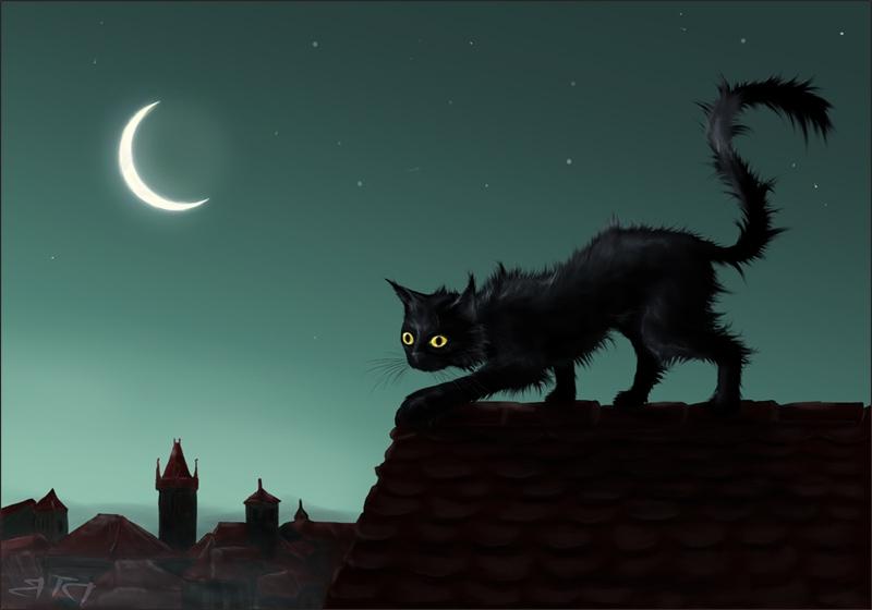 Кот на крыше ночью рисунок