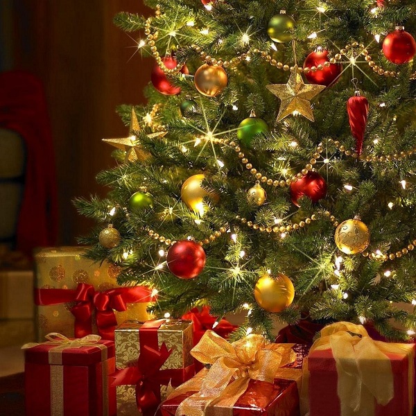 После праздничной идиллии