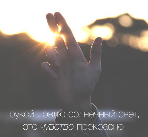 чистая истина