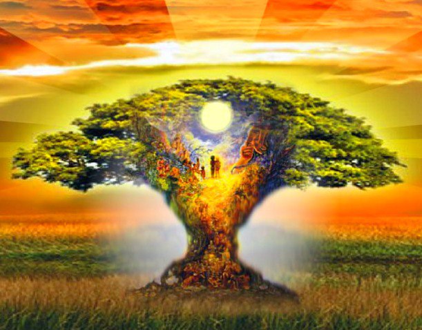 Мы все одна семья