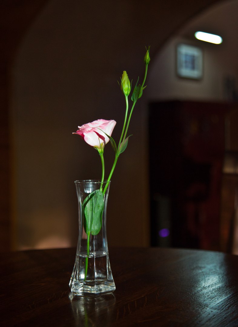 Розовая фантазия