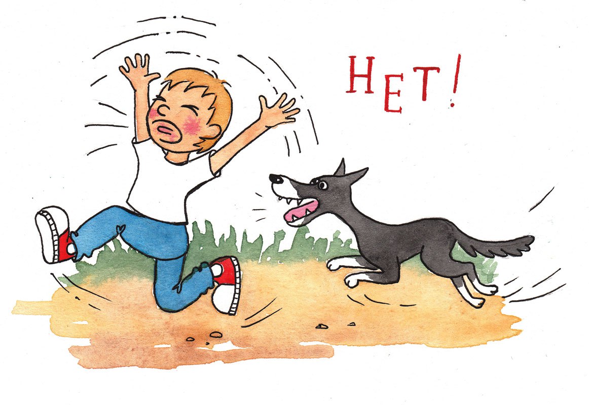 Бида или беда как правильно