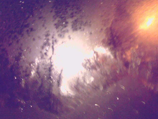 Неистовый свет