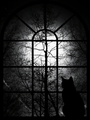 Осенняя ночь