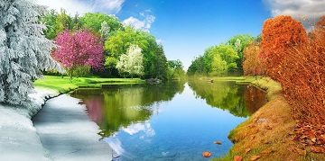 Четыре Художника