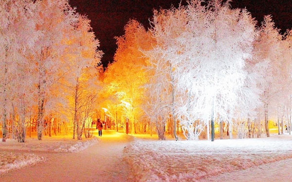 На зимней эстраде