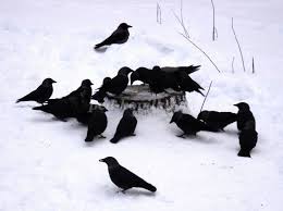 Загнал себя в метель...