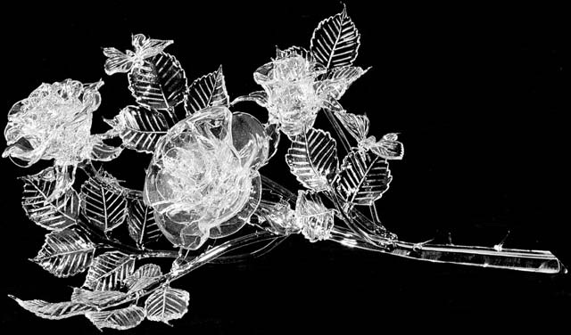 хрустальный куст. иней на деревьях. красивый хрусталь. хрустальная веточка. название хрустальная зима.