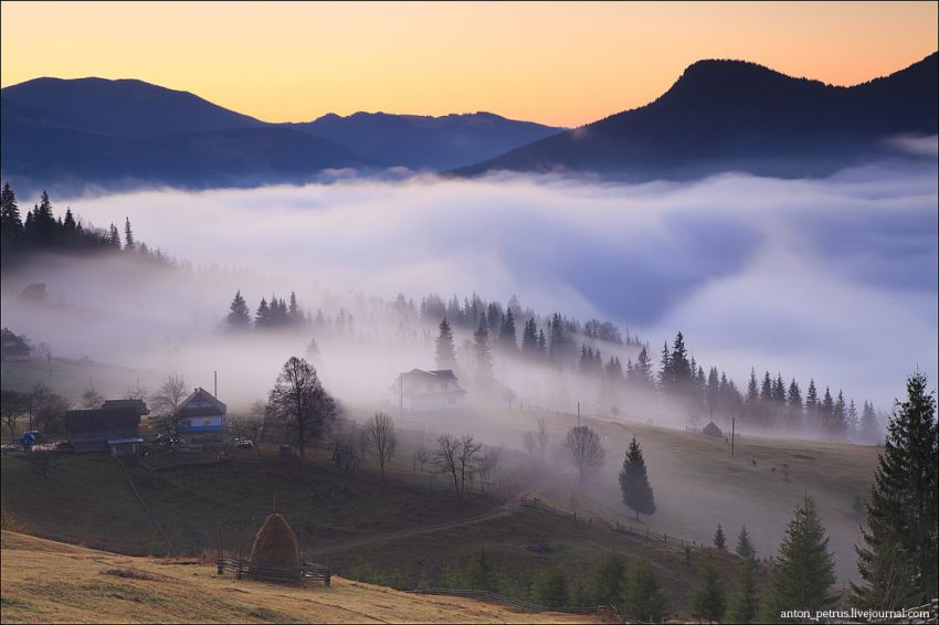 Печальный сон... Из Маргариты Метелецкой
