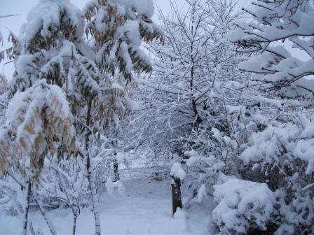 Сколько дней уж не видно солнца