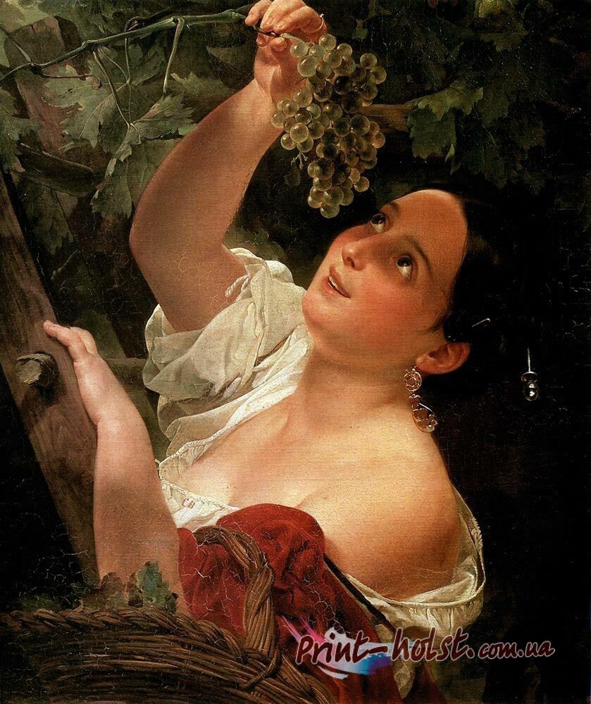 Виноградная лоза