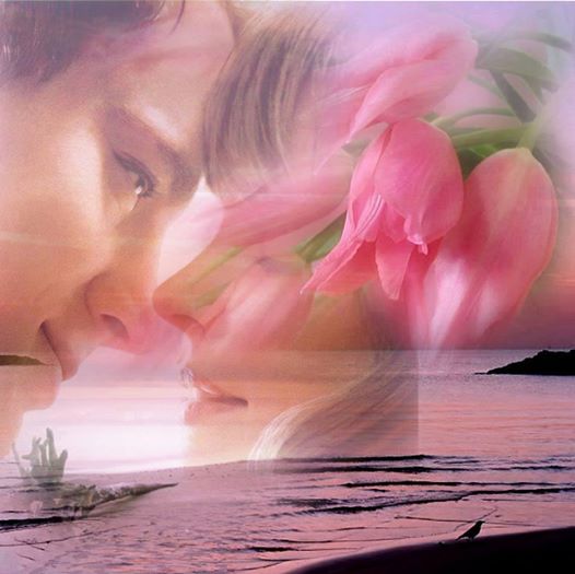 Любовь моя, единственная!