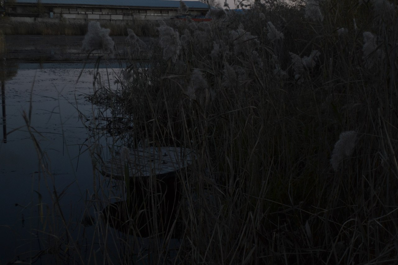 Очи разбитого сердца