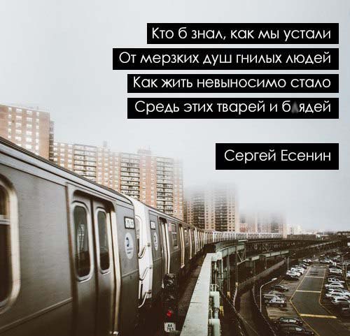 Вы чужды мне...