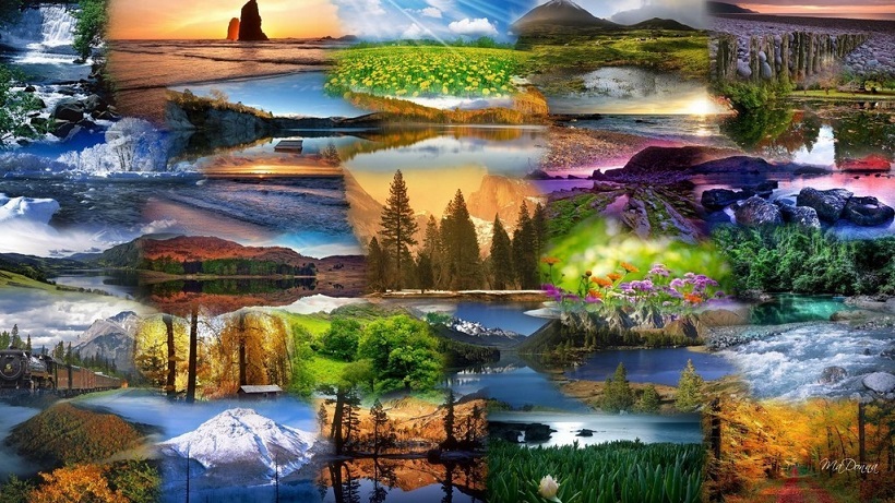 Жили - были четыре подруги...