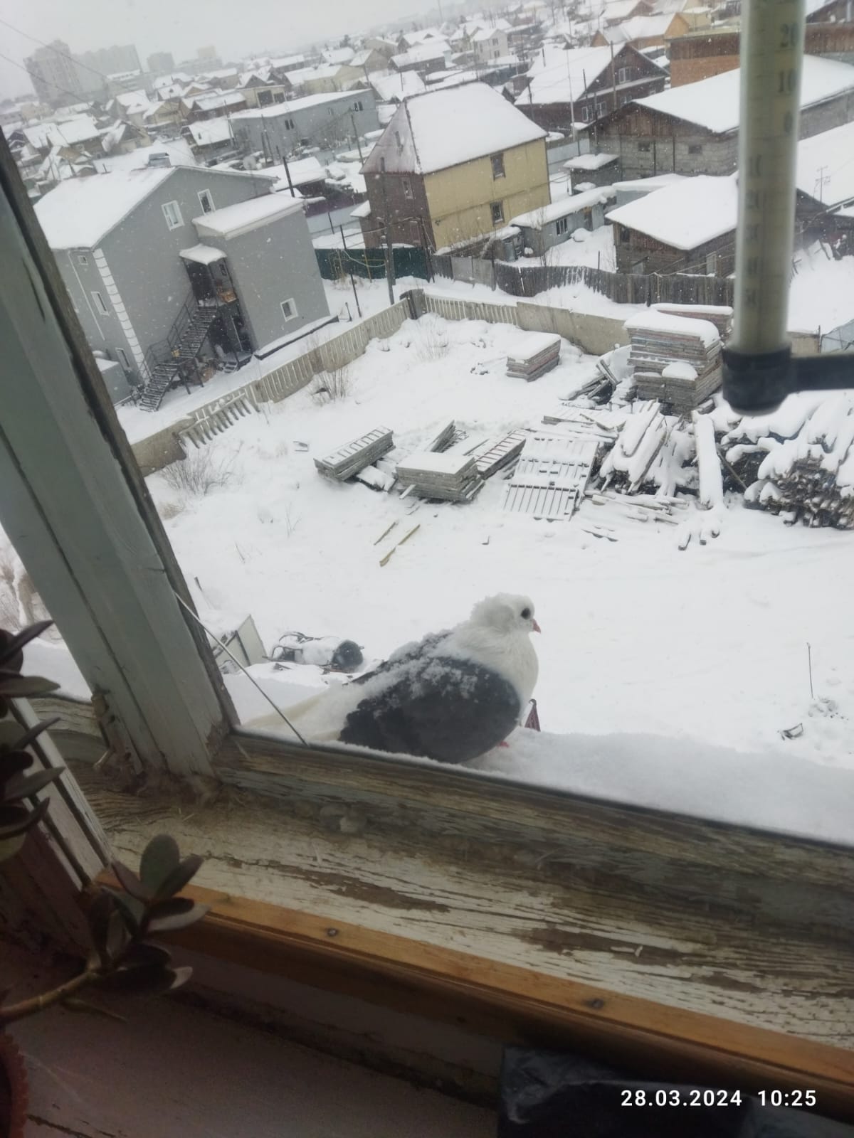 А ко мне под утро...