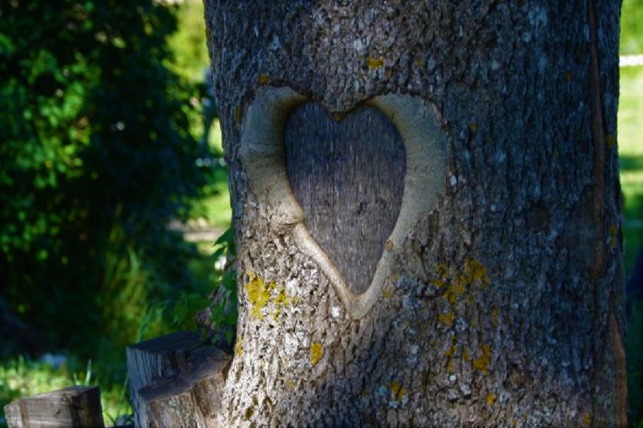 Глубокие шрамы