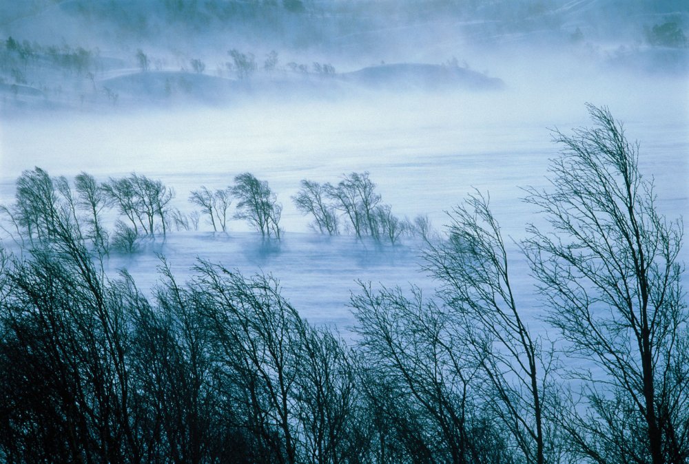 Вновь буря резвится бураном!