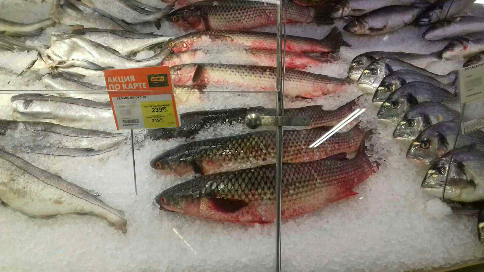 Флешмоб на Привозе