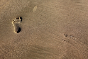 Про жизнь и следы