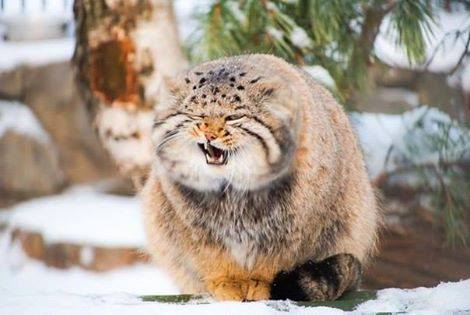 Жить правда легче