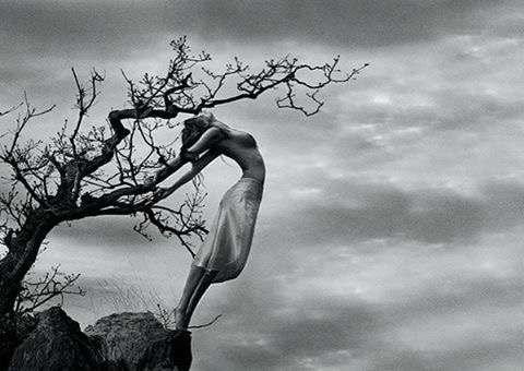 Истлеть дотла