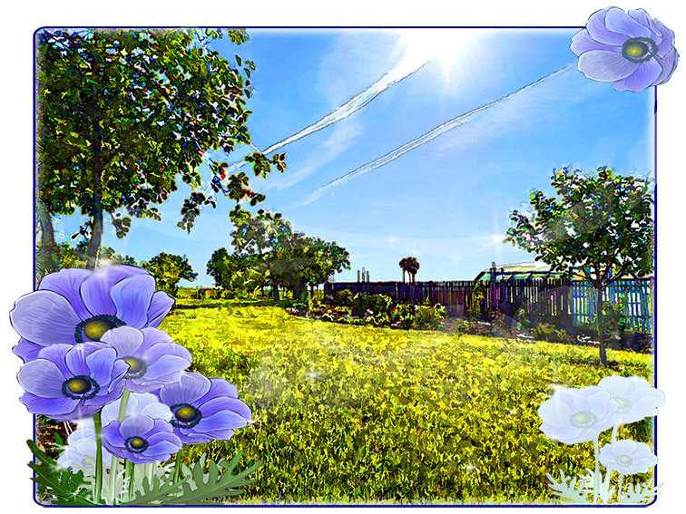 Мелодия лета