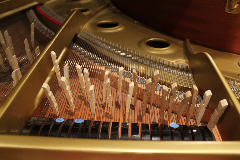 препарированный рояль кейджа. препарированный рояль. препарированное пианино. Pin block рояль дехонит. плагин пианино.