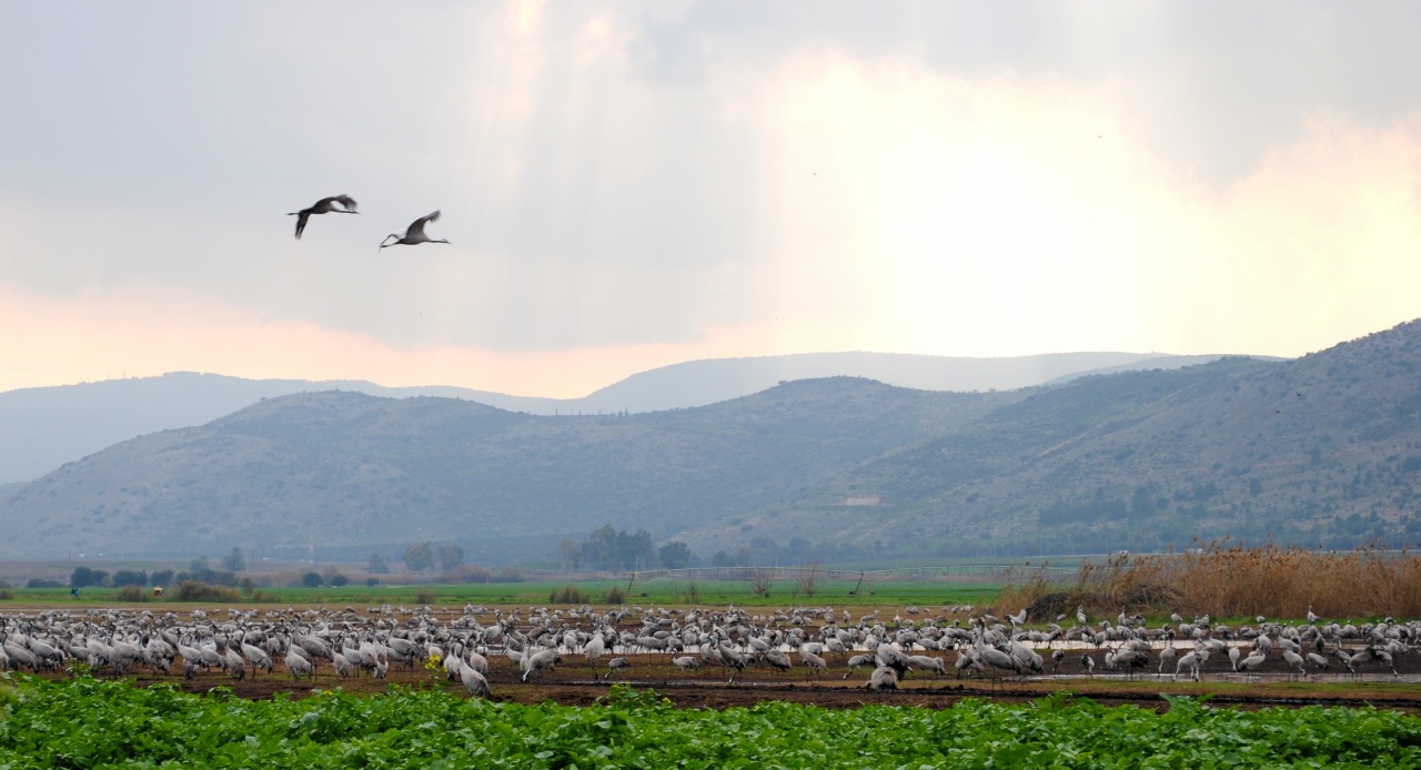 Книга Странствий. Глава 7. Галилея
