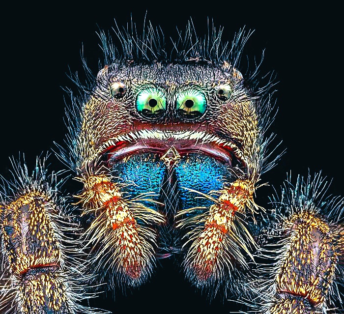 случай на бивуаке