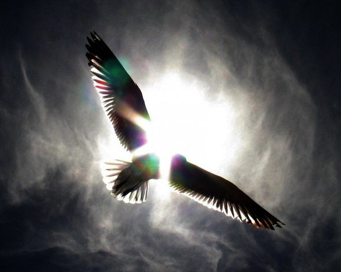 Я верю, я надеюсь, я живу...