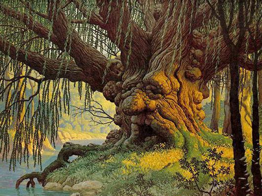 Первая Битва Магов