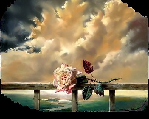 Я альбом достану..