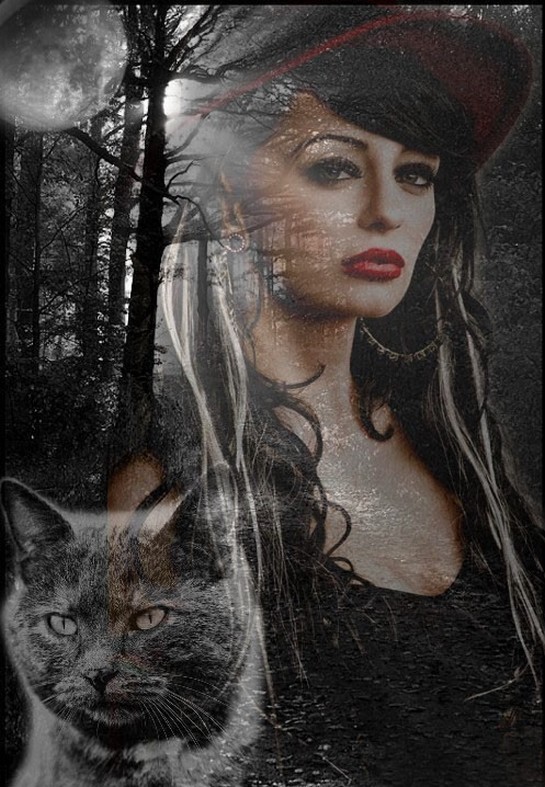 Светлана и Женский век. Часть третья. 5. целиком