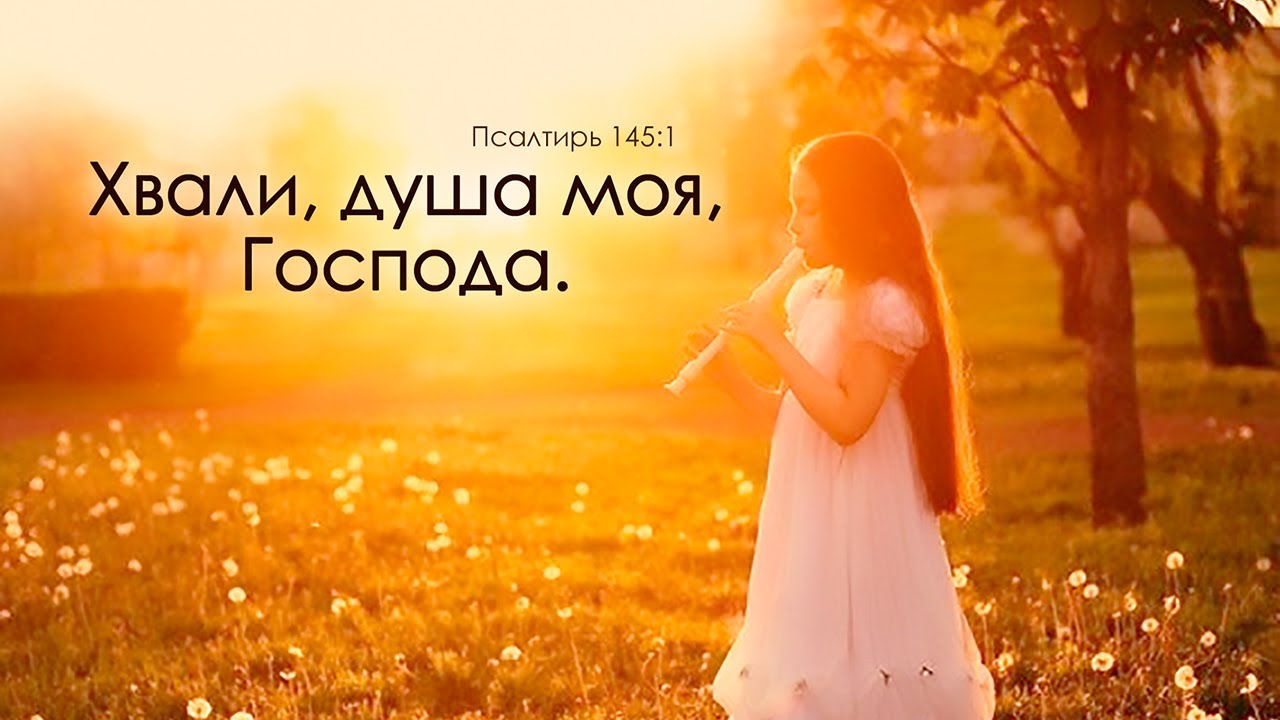 Хвала Богу