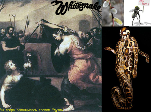 2. Меж дуэний нет дуэлей?