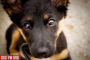 Вечерняя история