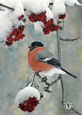 Мир, как холст...