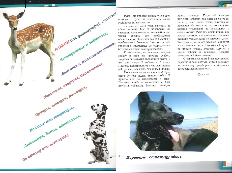 Зверьё МОЁ. Альбом 1, Страница 1 - Предисловие