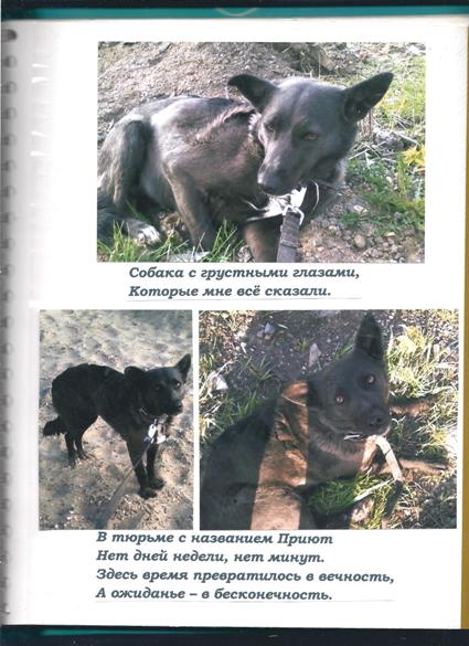 Зверьё МОЁ. Альбом 1, Страница 2 - Приют