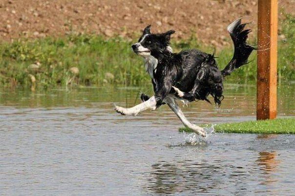 Я всё время бегу...