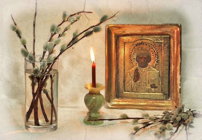 Верба -символ праздника. посели его в душе