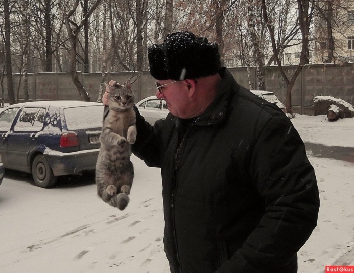 Русский и котики