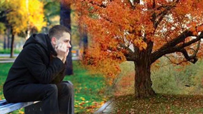 Грустит в парке клён...