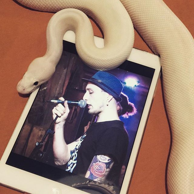 Ко мне ночью приходят змеи