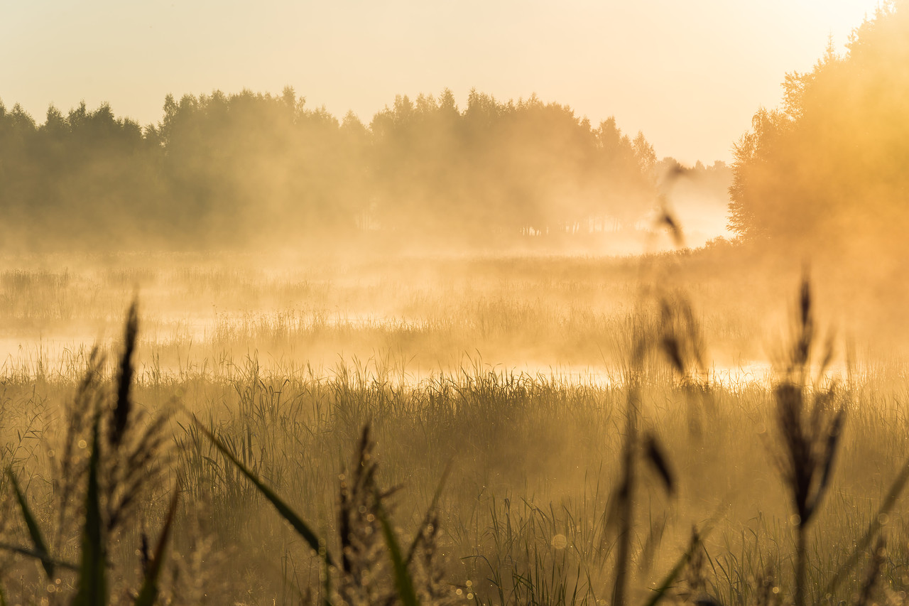 Раннее утро